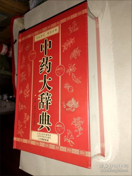 中药大辞典