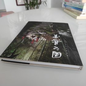 正版图书 国之悬赏 9787531756774 北方文艺