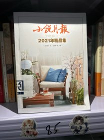 小说月报2021年精品集