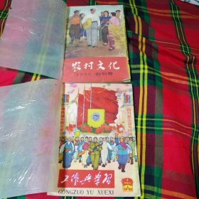 农村文化1966创刊号和工作与学习1960年第5期，两本合售