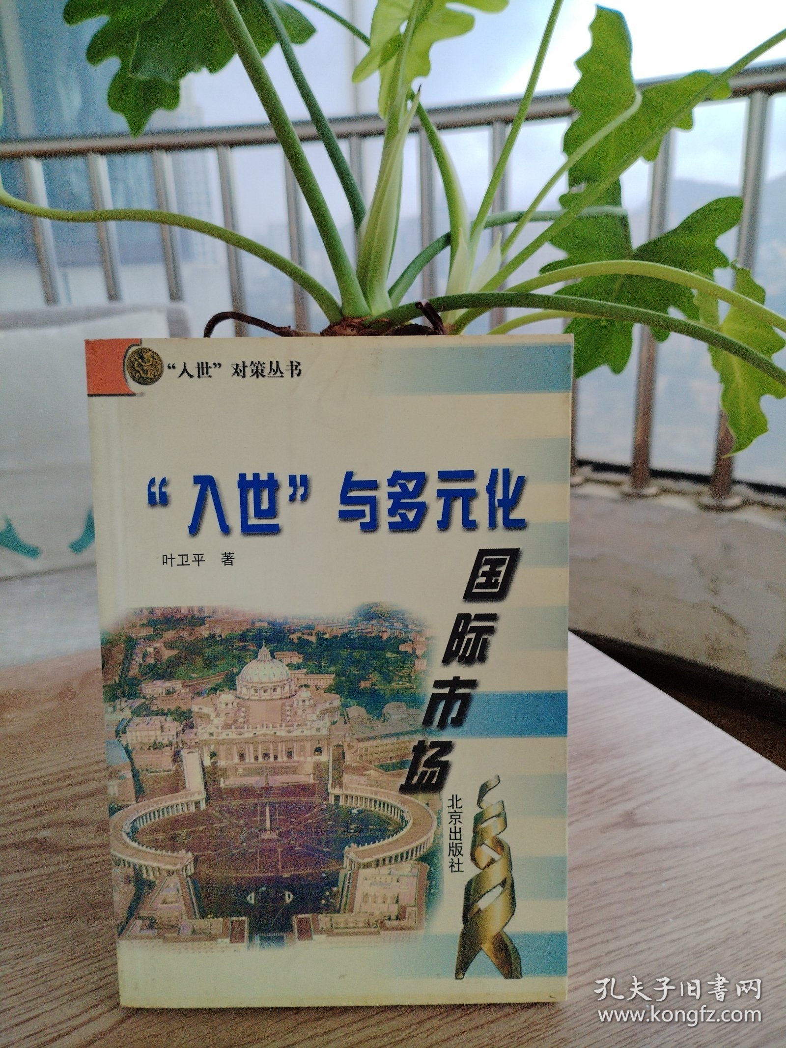 A17 “入世”与多元化国际市场