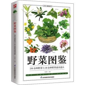 野菜图鉴 文教科普读物 作者 新华正版