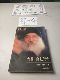 当鞋合脚时：奥修人生箴言系列