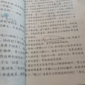 义务教育课程标准实验教科书 语文《四年级》下册