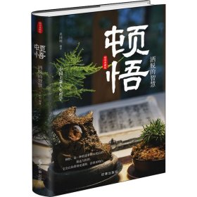 顿悟：洒脱的智慧