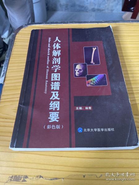 人体解剖学图谱及纲要