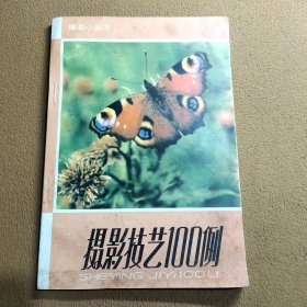 摄影技艺100例