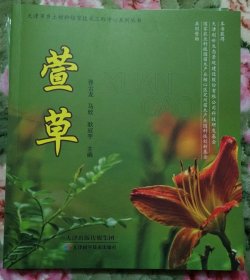 正版库存书 ：萱草（221）