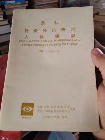 国际针灸经穴奇穴人体模型