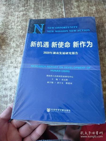 新机遇新使命新作为：2020年湖南发展研究报告