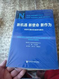 新机遇新使命新作为：2020年湖南发展研究报告