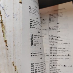 英汉·汉英速查词典