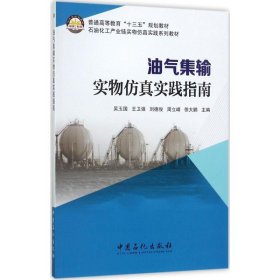 【正版书籍】油气集输实物仿真实践指南