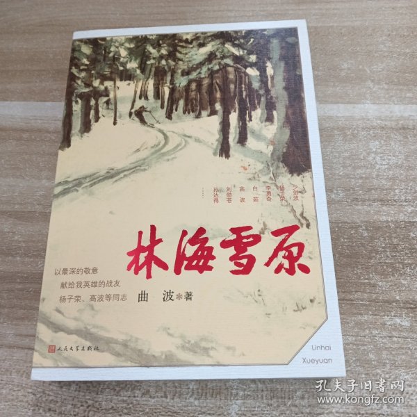 林海雪原