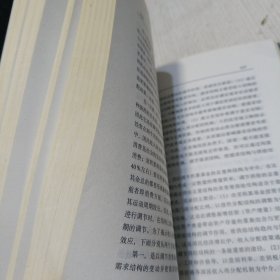 追赶型经济增长理论:一种组织经济增长的新思路 第五版