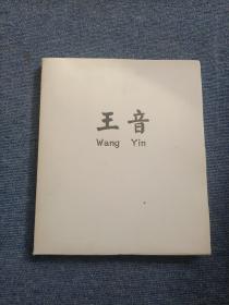 《王音WANG YIN》（画册）