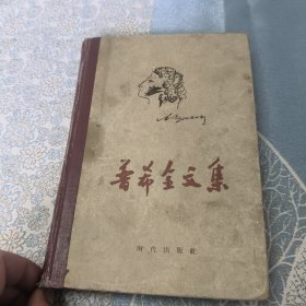 《普希金文集》1957年原版 时代出版社