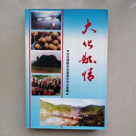 大化县情