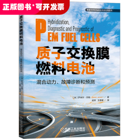 质子交换膜燃料电池混合动力、故障诊断和预测