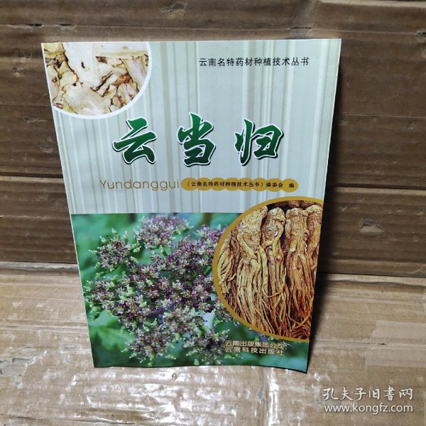 云南名特药材种植技术丛书：云当归