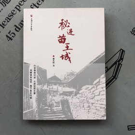 秘进苗王城