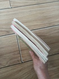 天才白痴十三招