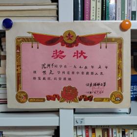 1975年诏安县埔坪小学奖状（作文竞赛第二名）