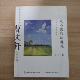 曹文轩经典品读书系 走不出的油麻地 《草房子》