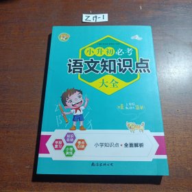 小升初必考语文知识点大全（2020全新版）小学语文知识一网打尽 一至六年级小考真题测试卷考点知识 升学毕业总复习资料全解工具书辅导资料