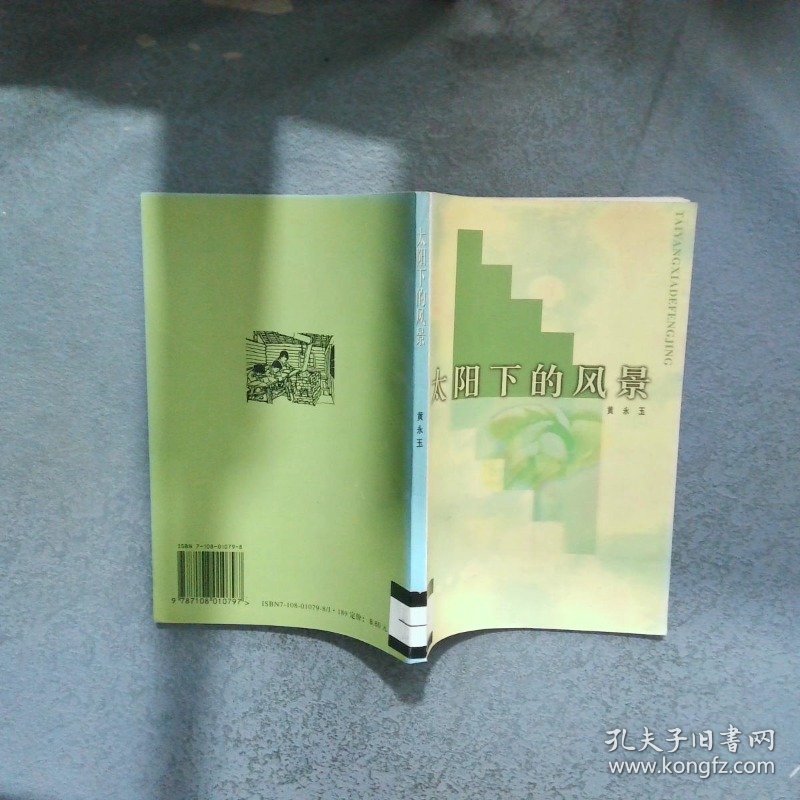 太阳下的风景  黄永玉 生活 读书 新知三联书店