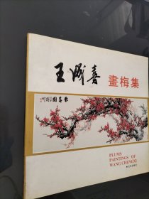 王城喜画梅集