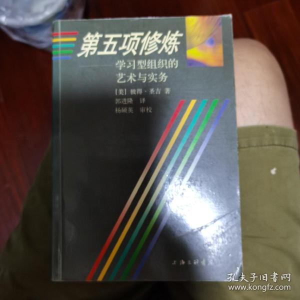 第五项修炼：学习型组织的艺术与实务