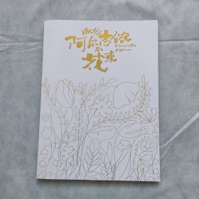 献给阿尔吉侬的花束宣传册