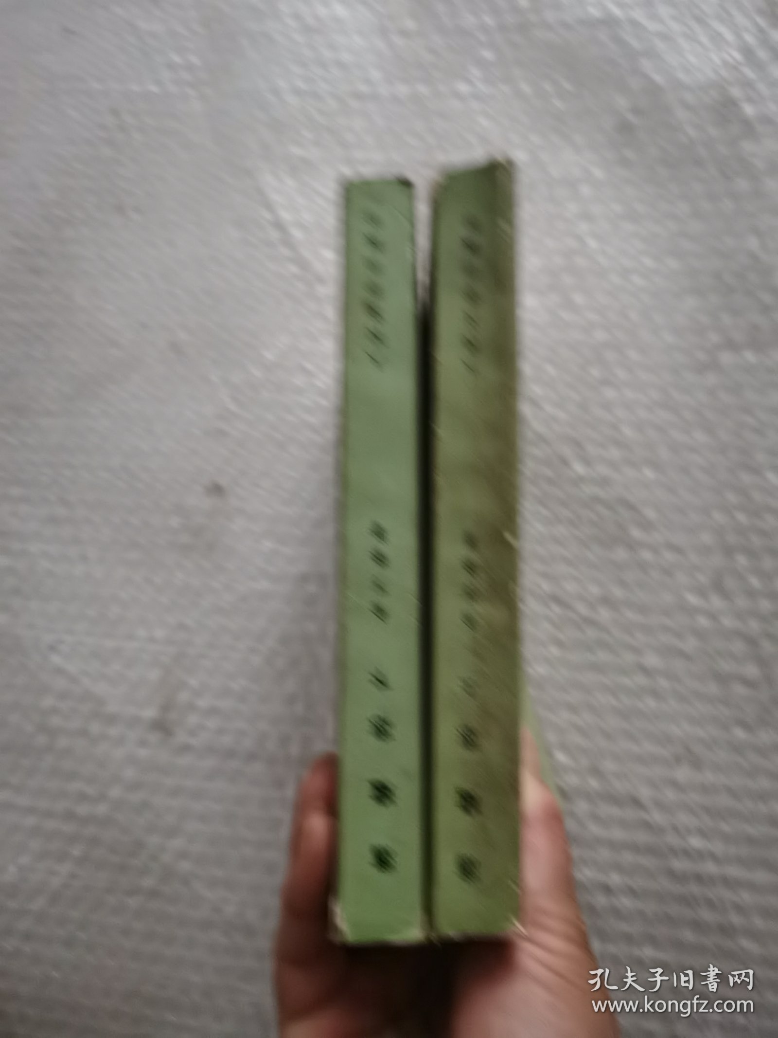 荡寇志：上下册