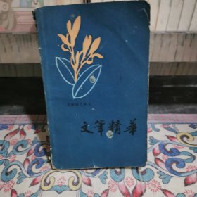 文笔精华