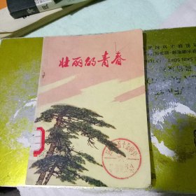 壮丽的青春  插图本