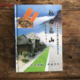 魅力龍山