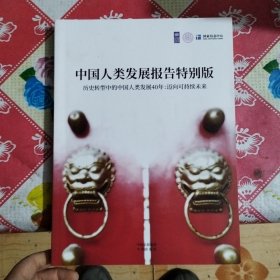 中国人类发展报告 特别版 历史转型中的中国人类发展40年：迈向可持续未来