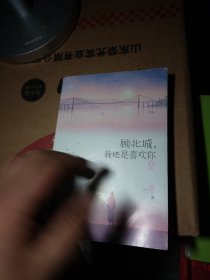 顾北城，我还是喜欢你2