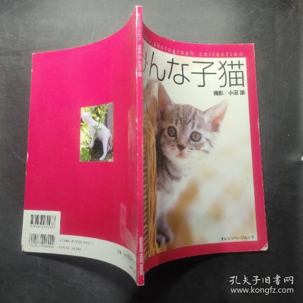 写真集  子猫 日本