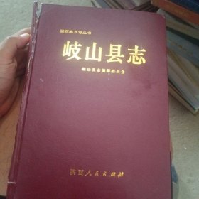 岐山县志