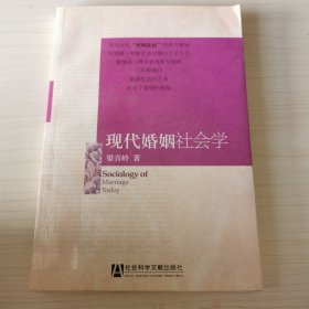 现代婚姻社会学