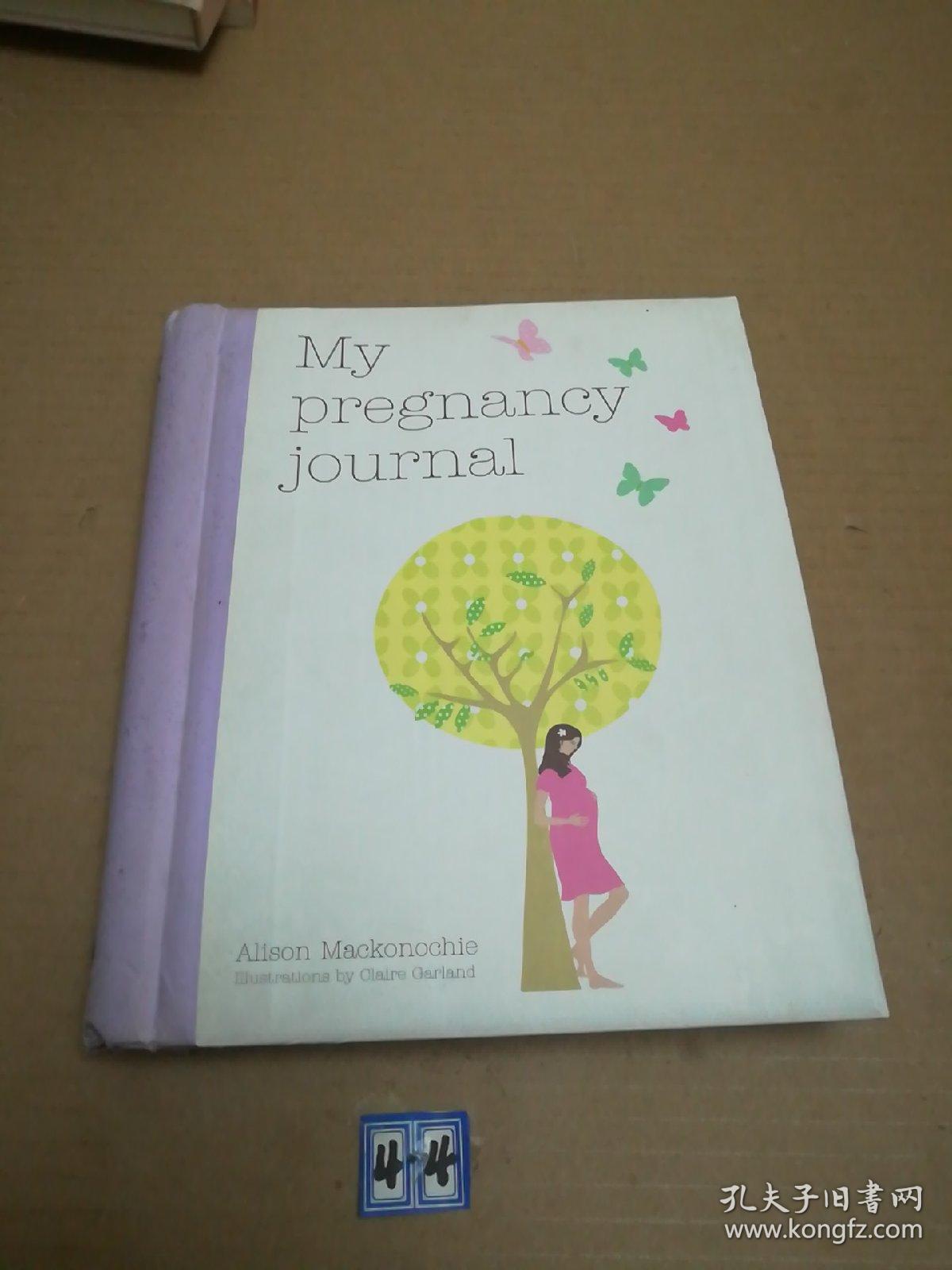 My pregnancy journal