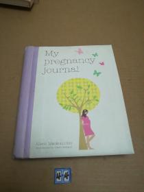 My pregnancy journal