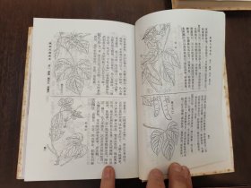 《植物名实图考》