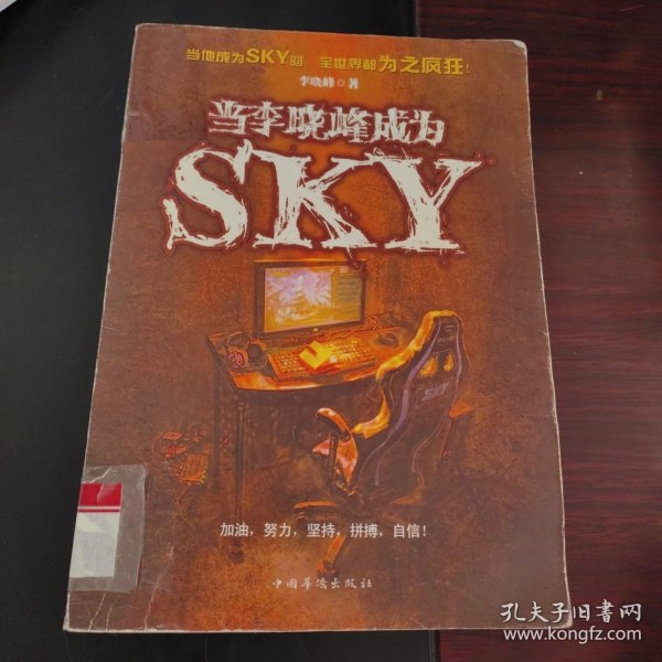 当李晓峰成为SKY