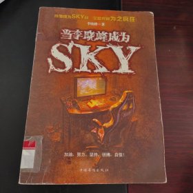 当李晓峰成为SKY