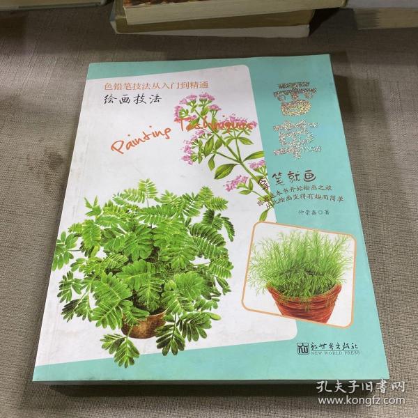 绘画技法——香草