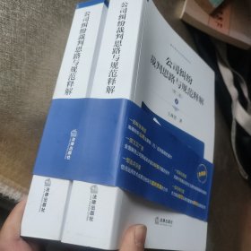 公司纠纷裁判思路与规范释解（第二版 套装上下册）