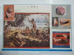 小学课本历史上册挂图13张